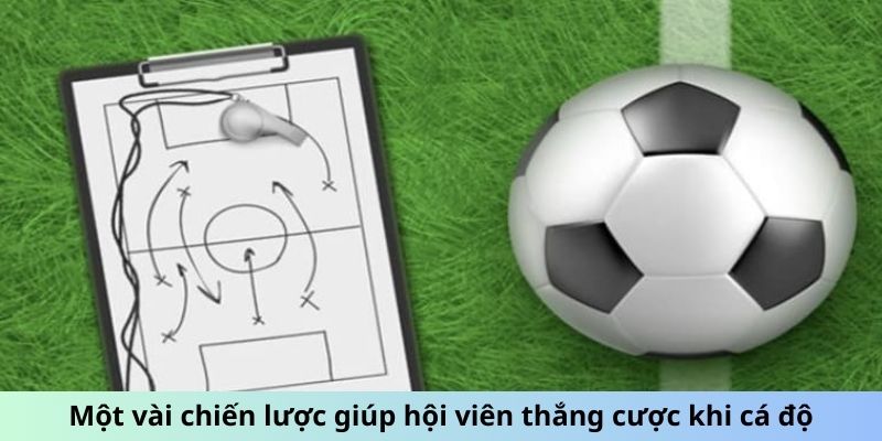 Một vài chiến lược giúp hội viên thắng cược khi cá độ