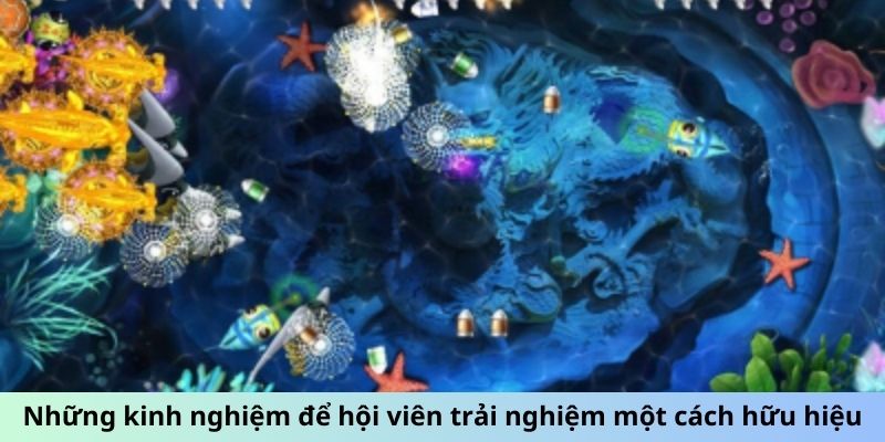 Những kinh nghiệm để hội viên trải nghiệm một cách hữu hiệu