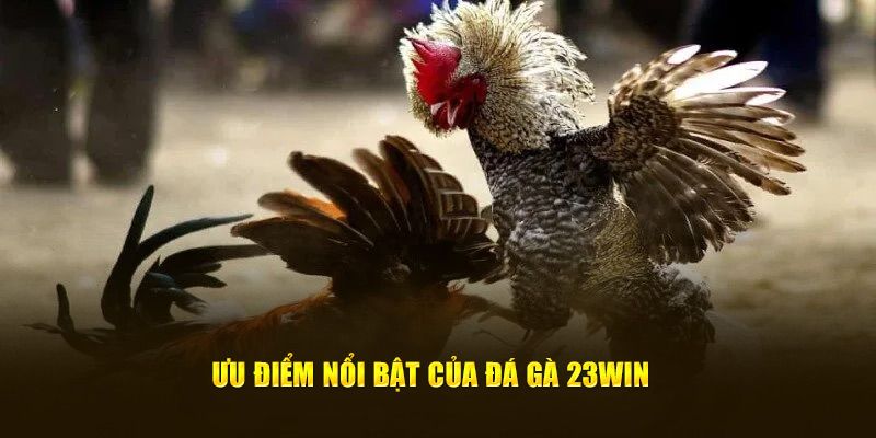 Điểm mạnh vượt trội của đá gà 23Win hấp dẫn